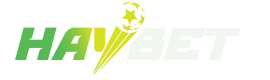 HAYBETVN
