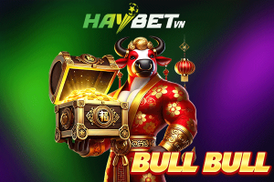 bull bull