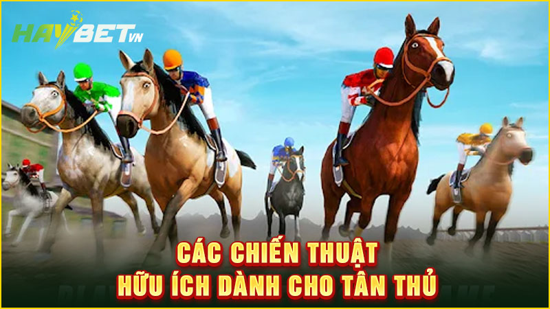 các chiến thuật hữu ích dành cho tân thủ