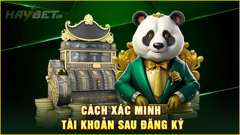 cách xác minh tài khoản sau đăng ký