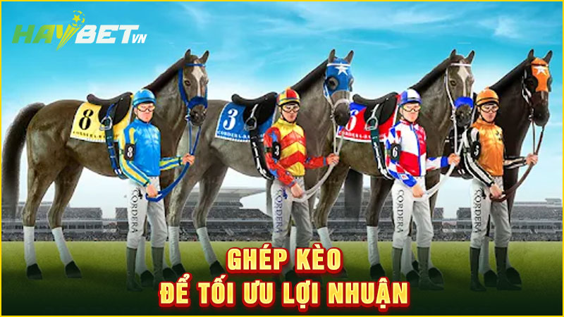 ghép kèo để tối ưu lợi nhuận