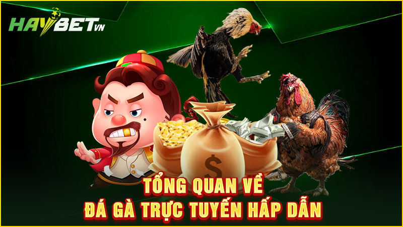 tổng quan về đá gà trực tuyến hấp dẫn