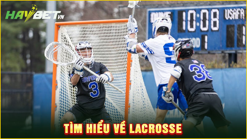 tìm hiểu về lacrosse
